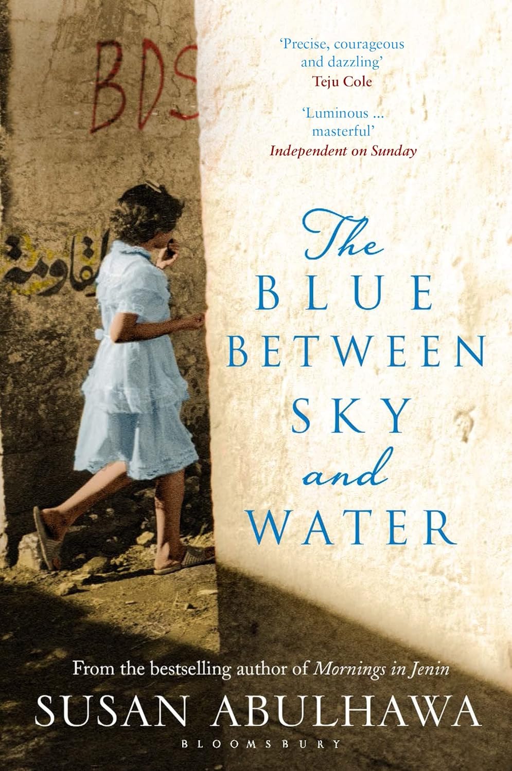 The Blue between Sky and Water, by Susan Abulhawa