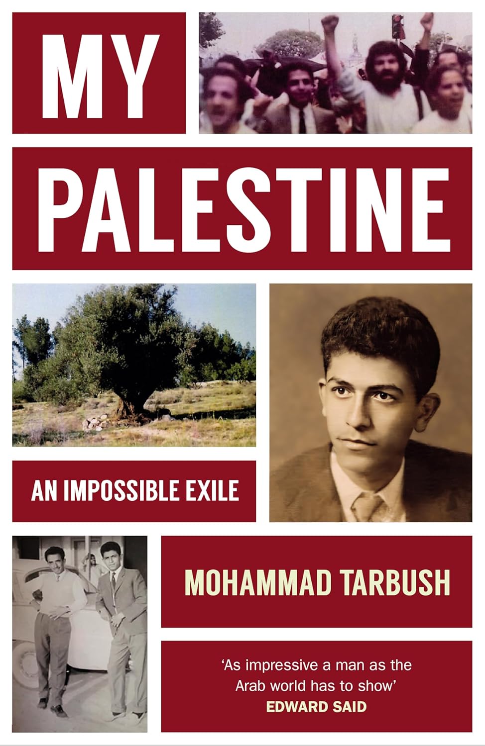 My Palestine: An Impossible Exile, by Mohammad Tarbush