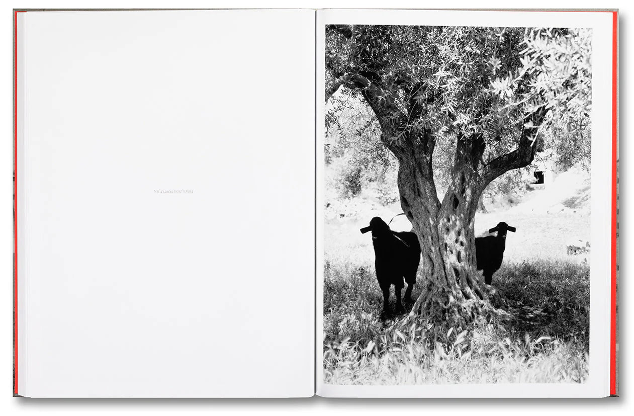 Anchor in the Landscape, by Adam Broomberg & Rafael Gonzalez (signed edition)