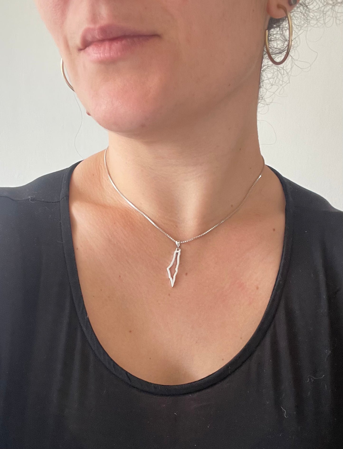Palestine Map silver pendant (small)