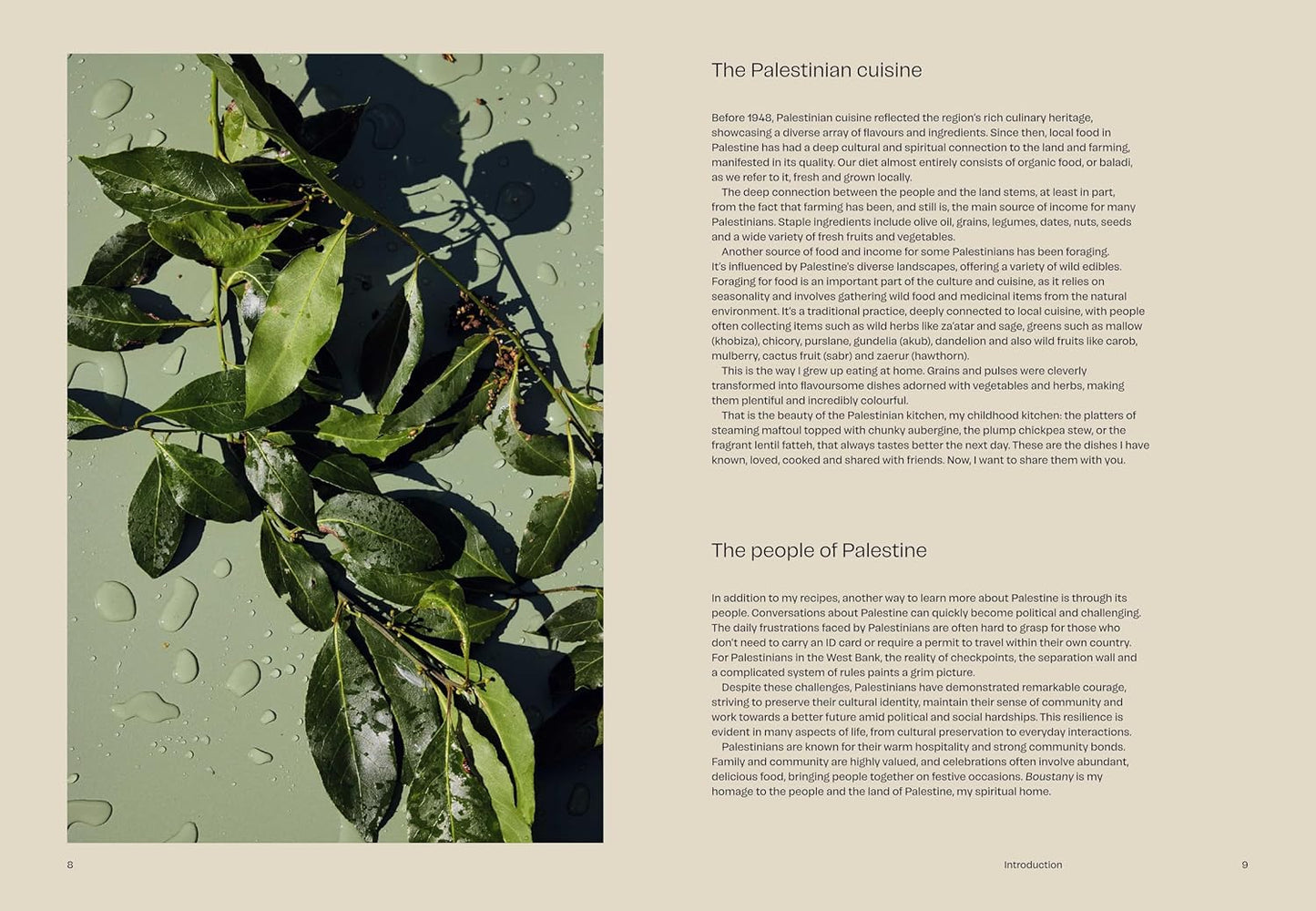 Boustany: A celebration of vegetables from my Palestine, by Sami Tamimi
