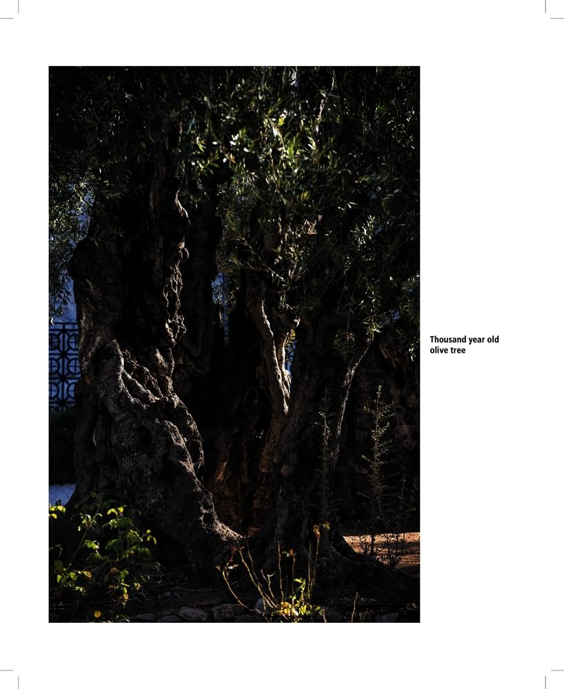 Palestine: Memories of 1948 - Photographs of Jerusalem, by Chris Conti